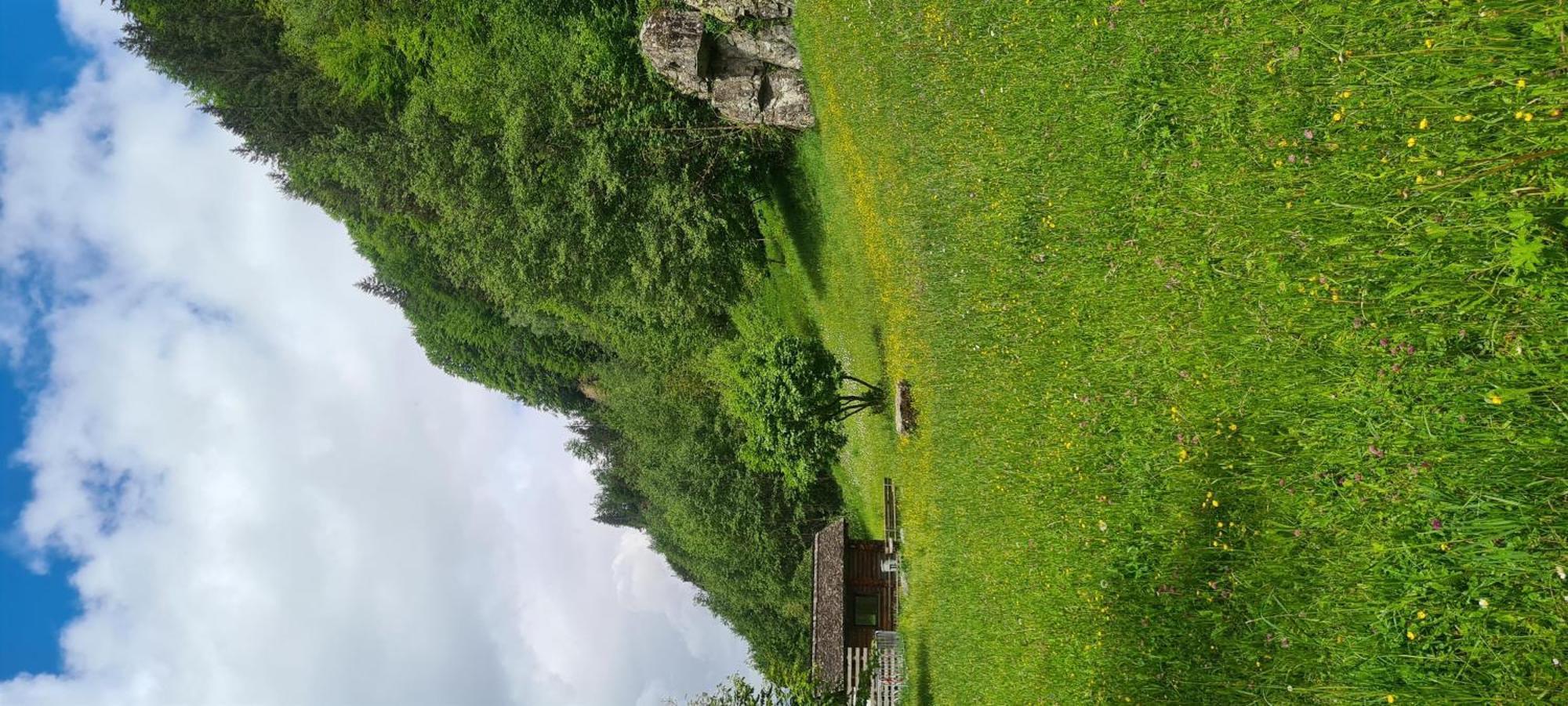 Haus Stehbock Villa Partenen Eksteriør bilde